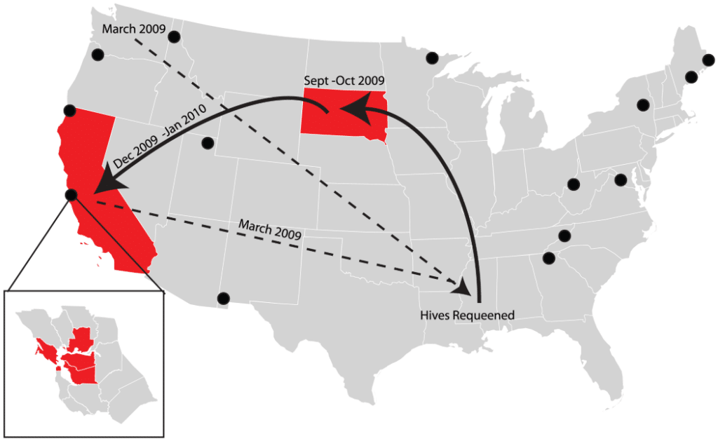 distribuzione riscontrata negli USA della Apocephalus borealis