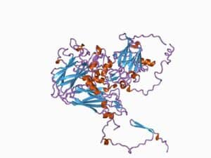 immagine di una proteina simile a quella di un virus picorna